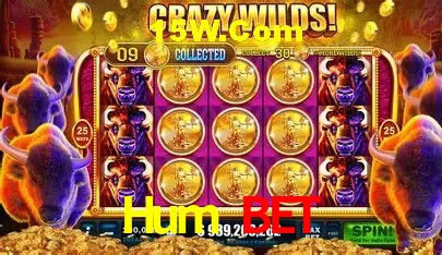 Hum Bet,Hum Bet Paga